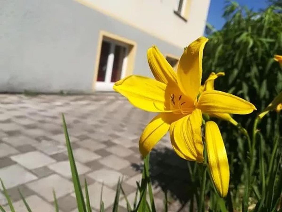 Apartamento Haus Am Apfelbaum Bad Säckingen Exterior foto